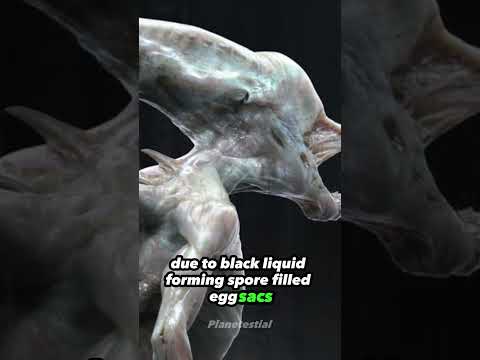 Neomorphs: Aggressive Alien Predators with a Unique Life Cycle #neomorph #xenomorph #alienconvenat