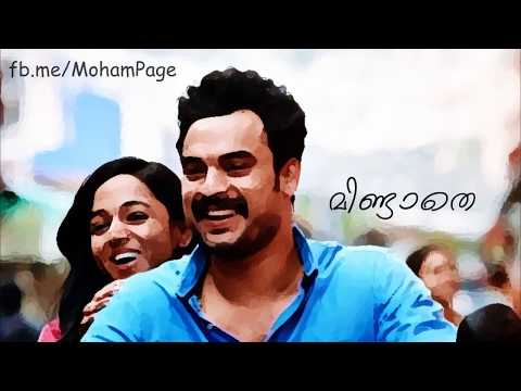 Minnunnunde Mulla Pole Lyrics Video | Malayalam Romantic Status