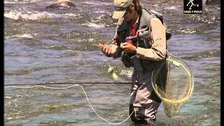 Rincon de la Seda IV