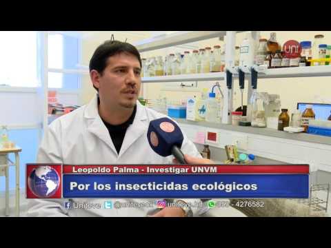 Insecticidas ecológicos - Investigador Leopoldo Palma
