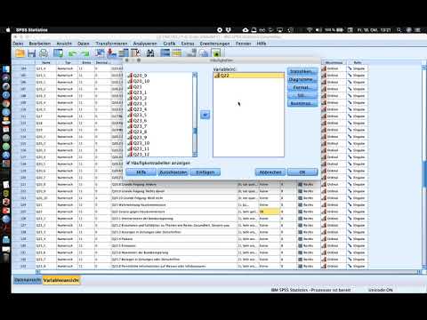 010 Häufigkeitsanalyse für ordinale Variablen in SPSS