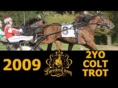 2009 Breeders Crown - Pilgrims Taj - 2CT