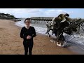 Serpent d'océan / Huang Yong Ping / vidéo LSF