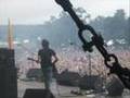 The Fratellis - Doginabag
