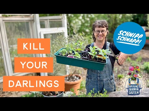 Which plants should be pinched – and which shouldn't? The Little Horror Garden