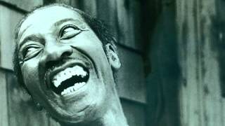 Hound Dog & Harp At The High Chaparral