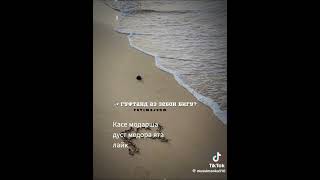 Download lagu 1 августа 2026 г. mp3 Download lagu 1 августа 2026 г. mp3