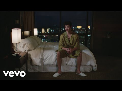 Shawn Mendes, Zedd - Lost In Japan (Original + Remix)