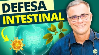 ÓLEO de ORÉGANO: o que ele faz no seu Intestino (e o que ninguém te conta)