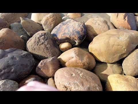 [4K] Caminhada de fim de semana no porto de pesca de Nanliao - passeio a pé em Taiwan