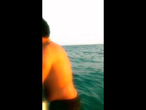 Zenati youssef korba beach