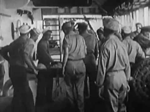 Fury in the Pacific: Battles of Peleliu and Anguar 1944