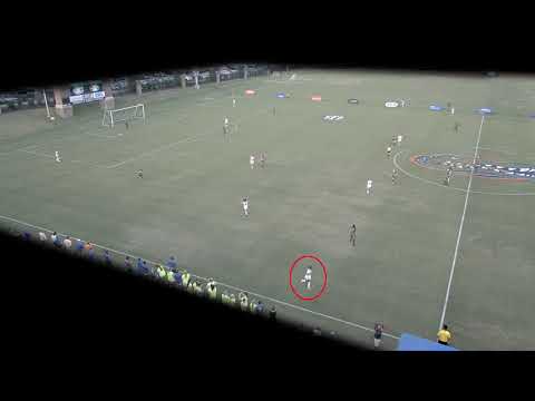 Vanessa Kara UF 2019 Highlight Video