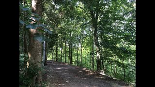 Four Seasons in Friston Forest