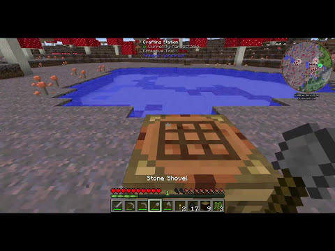 FTB Infinity Evolved: Episode 1