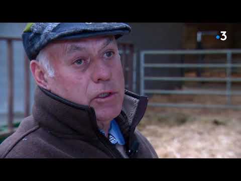 Jean-Baptiste Bossuet, le Mayennais aux deux Prix d'Amérique