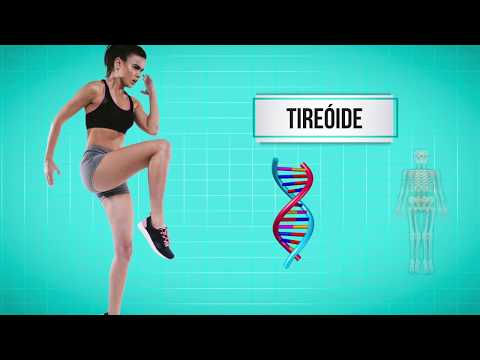 Tireóide é responsável por maior parte das funções do corpo humano