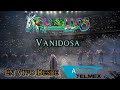 Banda Cuisillos - Vanidosa ( En Vivo Desde El Auditorio Telmex ) 2021
