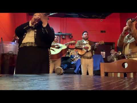 Promotional video thumbnail 11 for Mariachi Arraigo de America