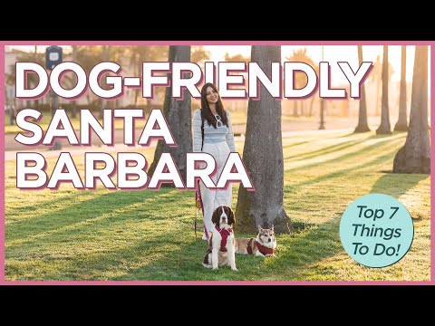 加利福尼亞州聖巴巴拉的7件愛犬活動 (7 Dog Friendly Things To Do in Santa Barbara, California)