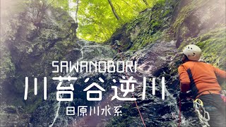 【沢登り】川苔谷逆川（日原川水系）25m大滝登攀 climberチャンプ、さとーさん