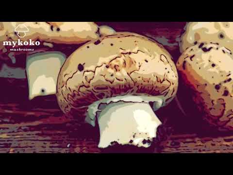 Mushroom Basics 101 — Beginner Sterile Technique  episode 04  : Anatomy