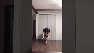 メイド服の美少女が逆立ちした結果www