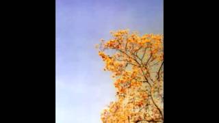 sherwood & pinch - africa