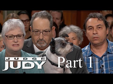 Retriever Attacked Neighbor's Dog? | Part 1