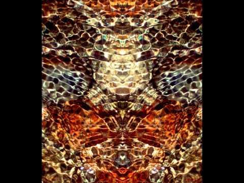 Eyvind Kang & Mike Patton - Inquisitio