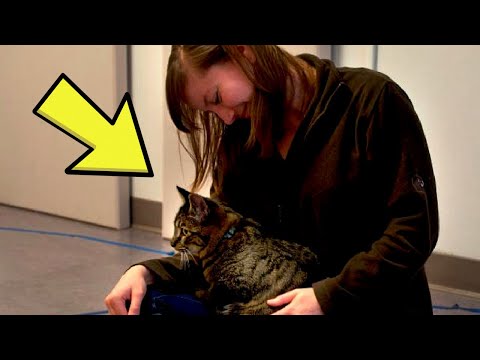 The True Meaning Behind One Common Cat Behavior Is Catching Many People Off Guard