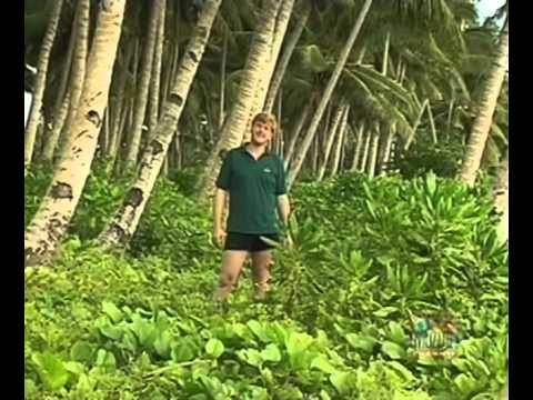 Ray Mears' World Of Survival S01E04 - Savaii, Western Samoa