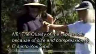 Sudden Violence VOlume 6. Montaigue