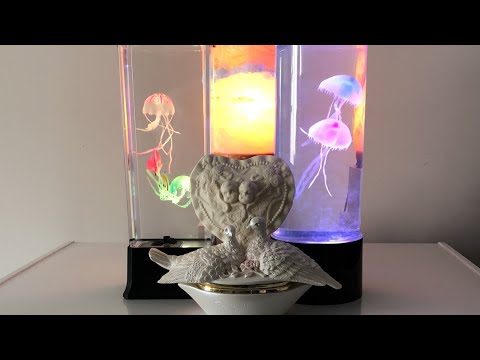 Semi-silent LS | Daily hangout live 021226