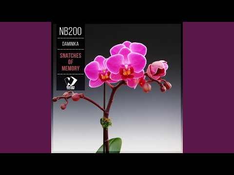 Snatches of Memory (Original Mix)