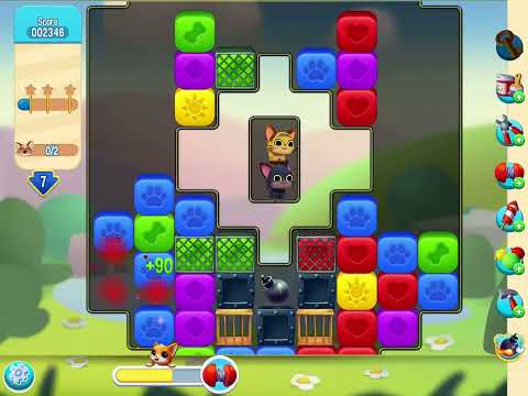 Pet rescue level 2177