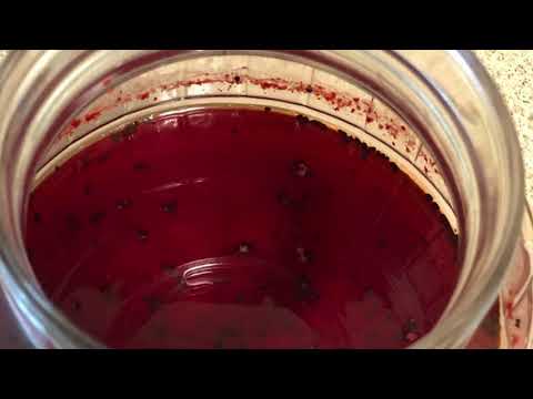 Making red rice wine pt 2