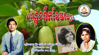 ០២២០. អណ្តូងទឹកខែវស្សា ច្រៀងដោយៈ អ៊ឹង ណារី . រស់ សេរីសុទ្ធា . ប៉ែន រ៉ន