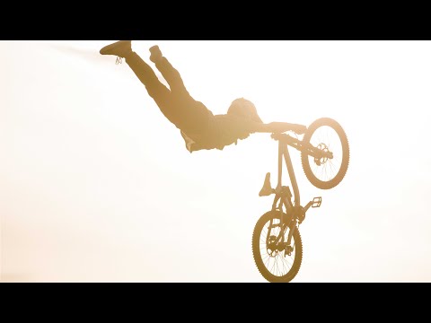 Tom Van Steenbergen - Steeze