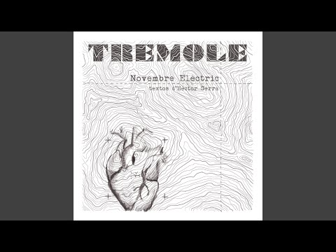 Xavier Bosch, escriptor: "La vida és això que entenem cap enrere, però vivim cap endavant"