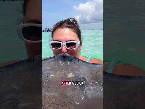 Thumbnail for Day 4 on the #DisneyTreasure - vibed with stingrays and sea stars in Grand Cayman 🐚 ✨#DisneyCruise