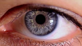 Download lagu iLux Treatment of Dry Eye Disease in Halifax | Restore Comfort with Insight Optometry mp3 Download lagu iLux Treatment of Dry Eye Disease in Halifax | Restore Comfort with Insight Optometry mp3
