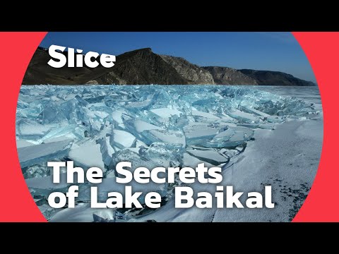 Lake Baikal: A biological treasure trove | SLICE