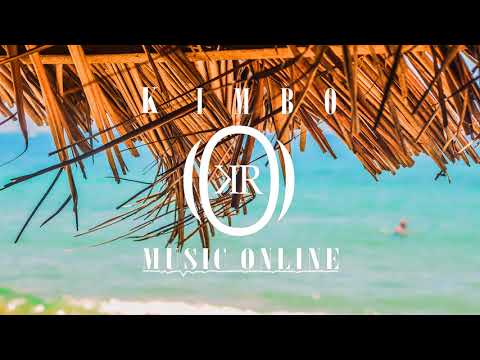 DJ SKIINOX - BABY MAMA - [REGGAE REMIX] 2018