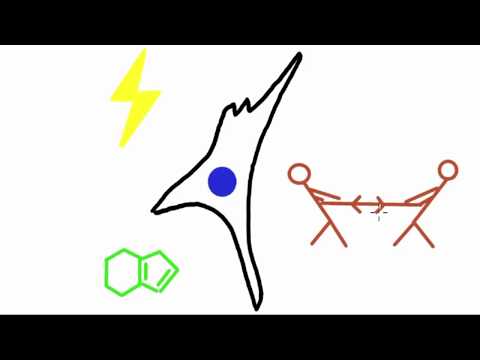 liver cancer cells