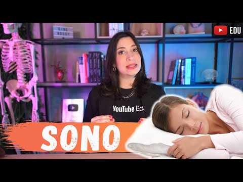 WHAT HAPPENS WHEN PEOPLE SLEEP: Physiology of I AM NOT AN ADULT