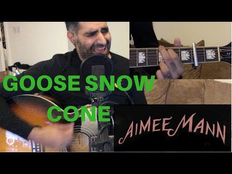 ♫ Goose Snow Cone (Acoustic Cover) ♫ - Aimee Mann