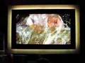 Philips PF429831 Ambilight At Wild