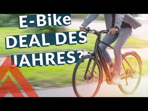 Premium e-bike at a discount price? The Diamant 365 in review!