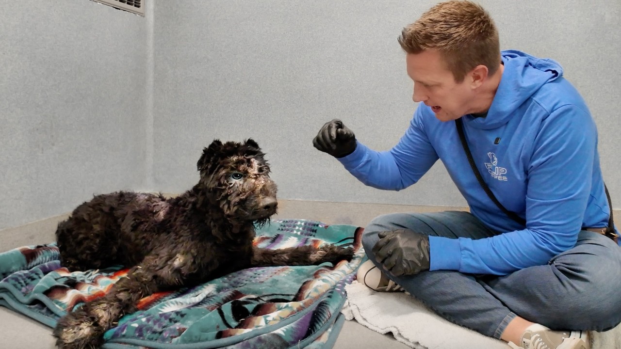 Watch the Moment I Realize I Have to Take Her 🥹